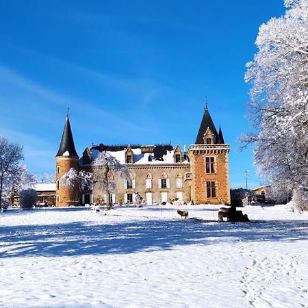 Chateau De La Forie Saint-Etienne-sur-Usson Exterior photo