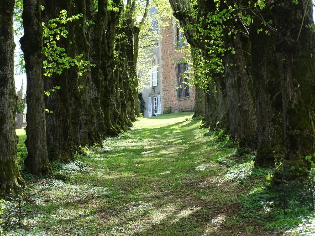 Chateau De La Forie Saint-Etienne-sur-Usson Exterior photo
